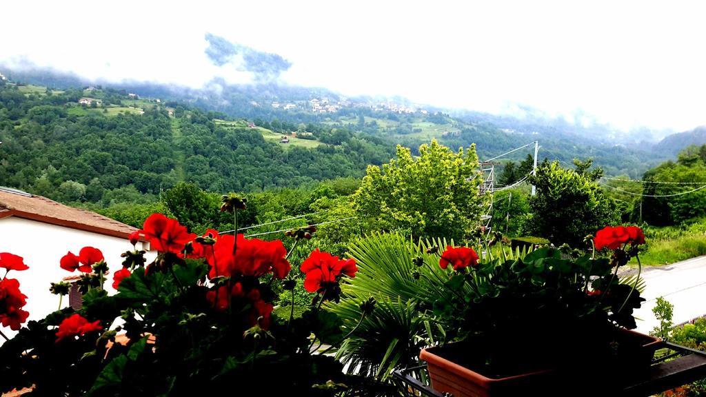 B&B Da Franca Camporgiano Exteriér fotografie